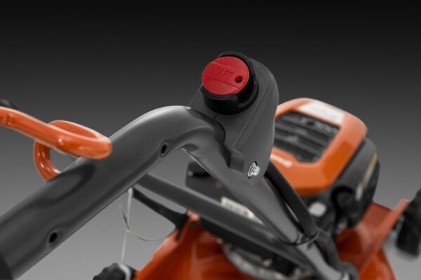 LB 246 E - Image 2